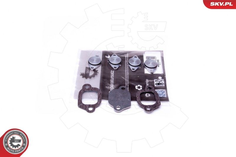 ESEN SKV Kit de reparação, módulo do tubo de aspiração 49SKV529 49SKV529 Junta de coletor de admissão OPEL ADAM ESEN SKV