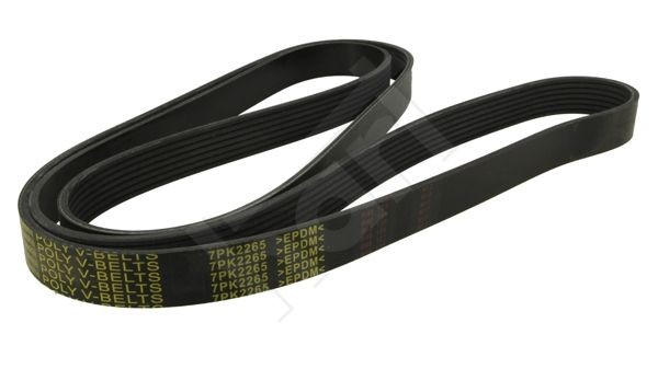HART Cinghia servizi 369 017 369 017 Cinghia servizi HART HYUNDAI TERRACAN costo