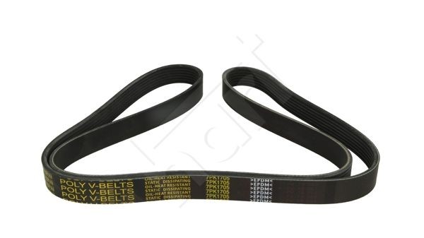HART Cinghia servizi 917 782 917 782 costo Cinghia servizi HART HYUNDAI TERRACAN