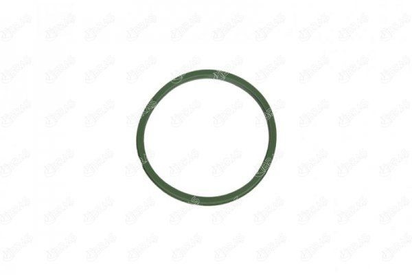 IBRAS Pakningsring, turboladerslange 11978 11978 Pakningsring, turboladerslange IBRAS NISSAN TERRANO