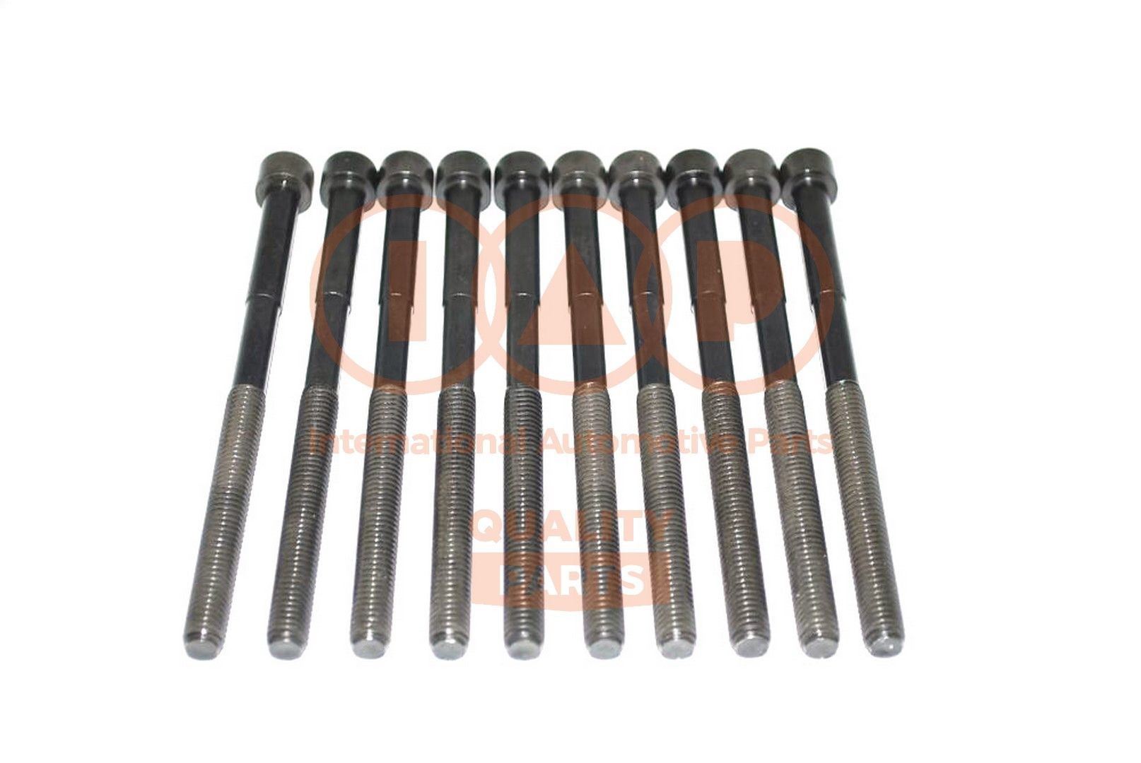 Cilinderkopbouten IAP QUALITY PARTS 119-17001 IAP QUALITY PARTS 119-17001: Cilinderbouten Great Wall STEED 2025