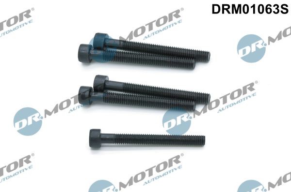 DR.MOTOR AUTOMOTIVE Schroef, inspuitstukhouder DRM01063S Volkswagen VENTO Brandplaatjes, injectiesysteem DR.MOTOR AUTOMOTIVE DRM01063S