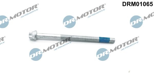 DR.MOTOR AUTOMOTIVE Βίδα, βάση του μπεκ DRM01065 DR.MOTOR AUTOMOTIVE DRM01065 Θερμομονωτικός δίσκος, σύστημα ψεκασμού Sprinter 4-t Tourer (907) τιμες