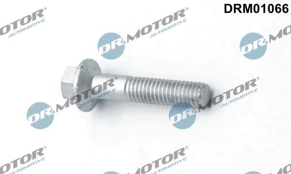DR.MOTOR AUTOMOTIVE Kruvi, sissepritsedüüsi kinnitus DRM01066 DR.MOTOR AUTOMOTIVE DRM01066 originaal Kaitseseib, sissepritsesüsteem Ford Focus 2 da hind