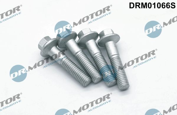 DR.MOTOR AUTOMOTIVE Parafuso, suporte de injector DRM01066S Protecção térmica, sistema de injecção Ford DA_ DRM01066S DR.MOTOR AUTOMOTIVE