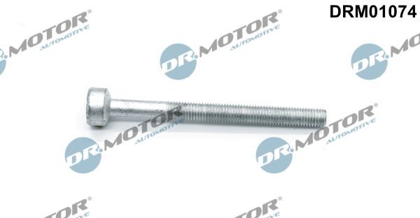 DR.MOTOR AUTOMOTIVE Ruuvi ruiskutussuutinpidike DRM01074 DR.MOTOR AUTOMOTIVE DRM01074 Mercedes X218 lämpösuojalevy, ruiskutusjärj.