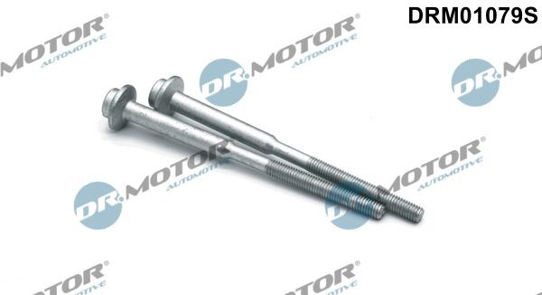 DR.MOTOR AUTOMOTIVE Skrue, indsprøjtningsdyseholder DRM01079S DRM01079S Varmebeskyttelsesskive, indsprøjtningasanlæg SUBARU FORESTER DR.MOTOR AUTOMOTIVE