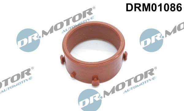 DR.MOTOR AUTOMOTIVE Tätningsring, laddluftslang DRM01086 DR.MOTOR AUTOMOTIVE DRM01086 tätningsring, laddluftslang Mercedes CL203 pris