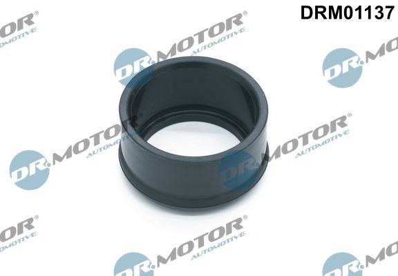 DR.MOTOR AUTOMOTIVE Tetningsring, laseluftslange DRM01137 Tetningsring, laseluftslange DR.MOTOR AUTOMOTIVE EDGE DRM01137 billige