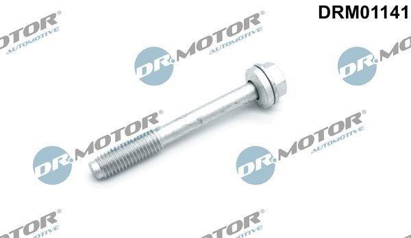 DR.MOTOR AUTOMOTIVE Schroef, inspuitstukhouder DRM01141 DR.MOTOR AUTOMOTIVE DRM01141 Brandplaat, verstuiver Opel Vivaro A Combi prijs