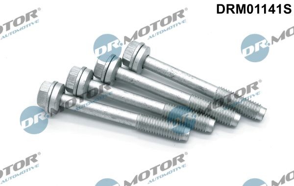 DR.MOTOR AUTOMOTIVE Schroef, inspuitstukhouder DRM01141S Chevrolet CRUZE Brandplaatjes, injectiesysteem DR.MOTOR AUTOMOTIVE DRM01141S