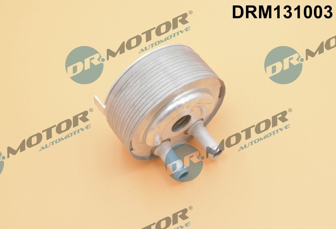 Oliekoeler DR.MOTOR AUTOMOTIVE DRM131003 DR.MOTOR AUTOMOTIVE DRM131003 Olie-koeler Nissan PICK UP 2023
