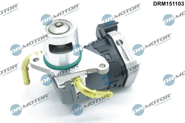 DR.MOTOR AUTOMOTIVE Βαλβίδα AGR DRM151103 Βαλβίδα ανακύκλωσης καυσαερίων DR.MOTOR AUTOMOTIVE Dacia DOKKER DRM151103