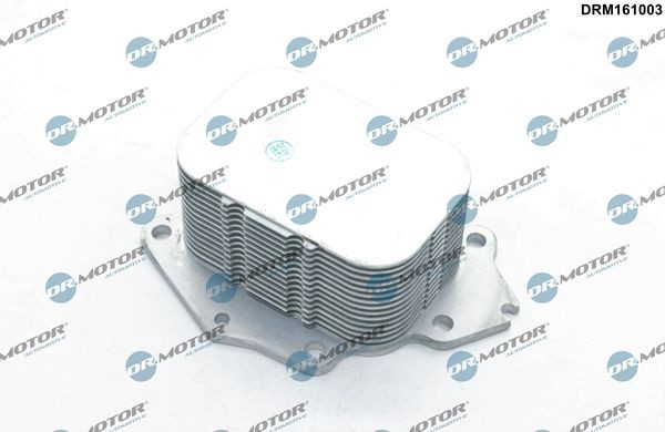 Õliradiaator, mootoriõli DR.MOTOR AUTOMOTIVE DRM161003 DR.MOTOR AUTOMOTIVE DRM161003: Õlijahuti Mazda 3 2020