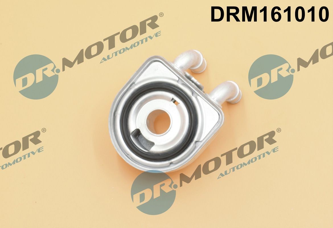 DR.MOTOR AUTOMOTIVE Radiateur d'huile DRM161010 Fiat DUCATO Radiateur d'huile moteur DR.MOTOR AUTOMOTIVE DRM161010