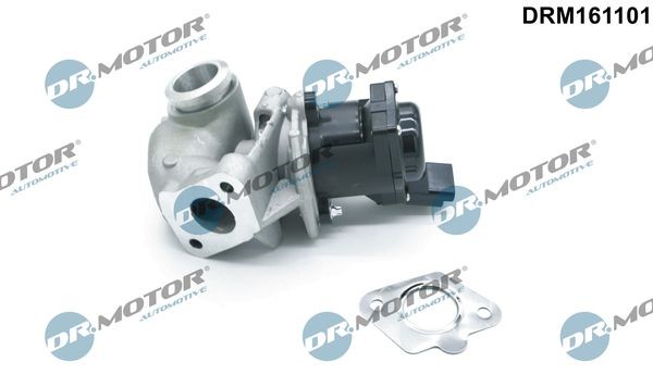 DR.MOTOR AUTOMOTIVE AGR - Ventil DRM161101 DR.MOTOR AUTOMOTIVE DRM161101 EGR ventil Citroen Xsara Picasso cena