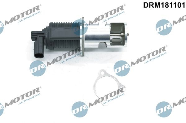 DR.MOTOR AUTOMOTIVE Βαλβίδα AGR DRM181101 DRM181101 Βαλβίδα ανακύκλωσης καυσαερίων DACIA DOKKER DR.MOTOR AUTOMOTIVE