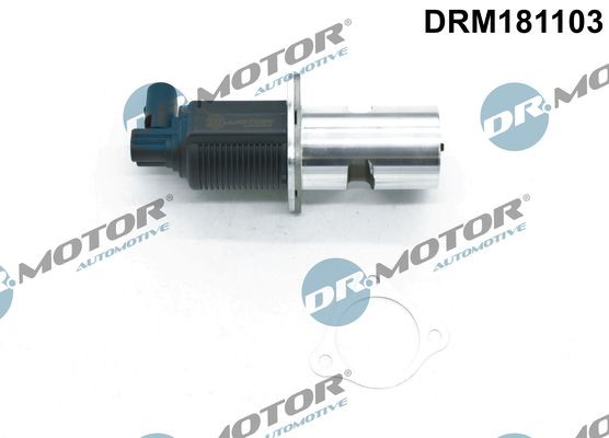 DR.MOTOR AUTOMOTIVE EGR-ventil DRM181103 Renault Symbol Thalia EGR-ventil DR.MOTOR AUTOMOTIVE DRM181103