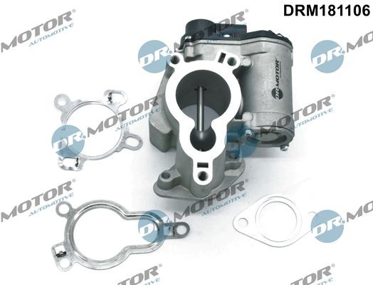 Valvola EGR DR.MOTOR AUTOMOTIVE DRM181106 DR.MOTOR AUTOMOTIVE DRM181106 EGR Renault TRAFIC 2010