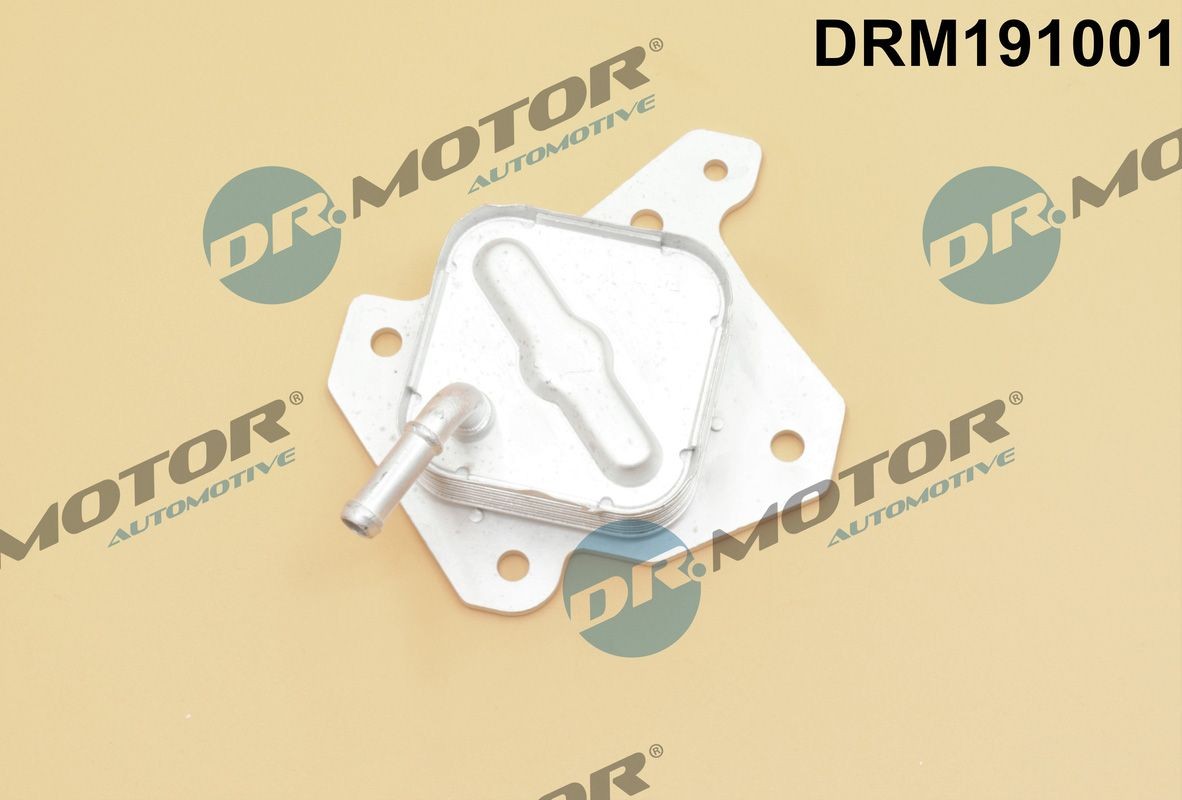 DR.MOTOR AUTOMOTIVE Engine oil cooler DRM191001 DRM191001 DR.MOTOR AUTOMOTIVE oil cooler SUBARU
