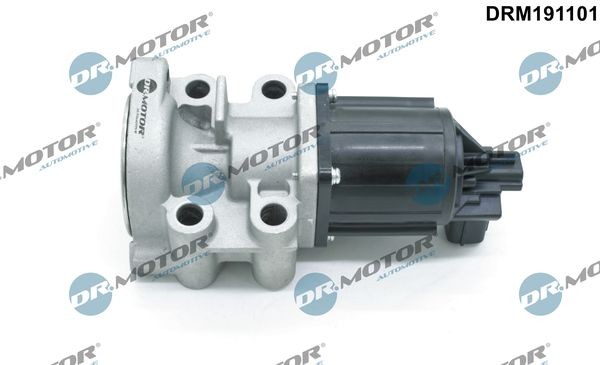 DR.MOTOR AUTOMOTIVE Izpl. gāzu recirkulācijas vārsts DRM191101 DRM191101 DR.MOTOR AUTOMOTIVE EGR vārsts Chrysler lēti