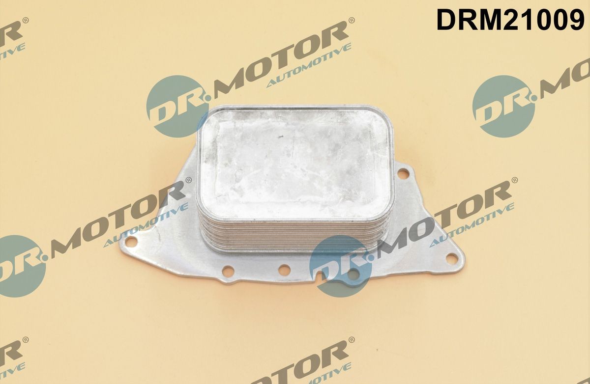 DR.MOTOR AUTOMOTIVE Ölkühler DRM21009 DRM21009 DR.MOTOR AUTOMOTIVE Mini F55 Ölkühler Kosten