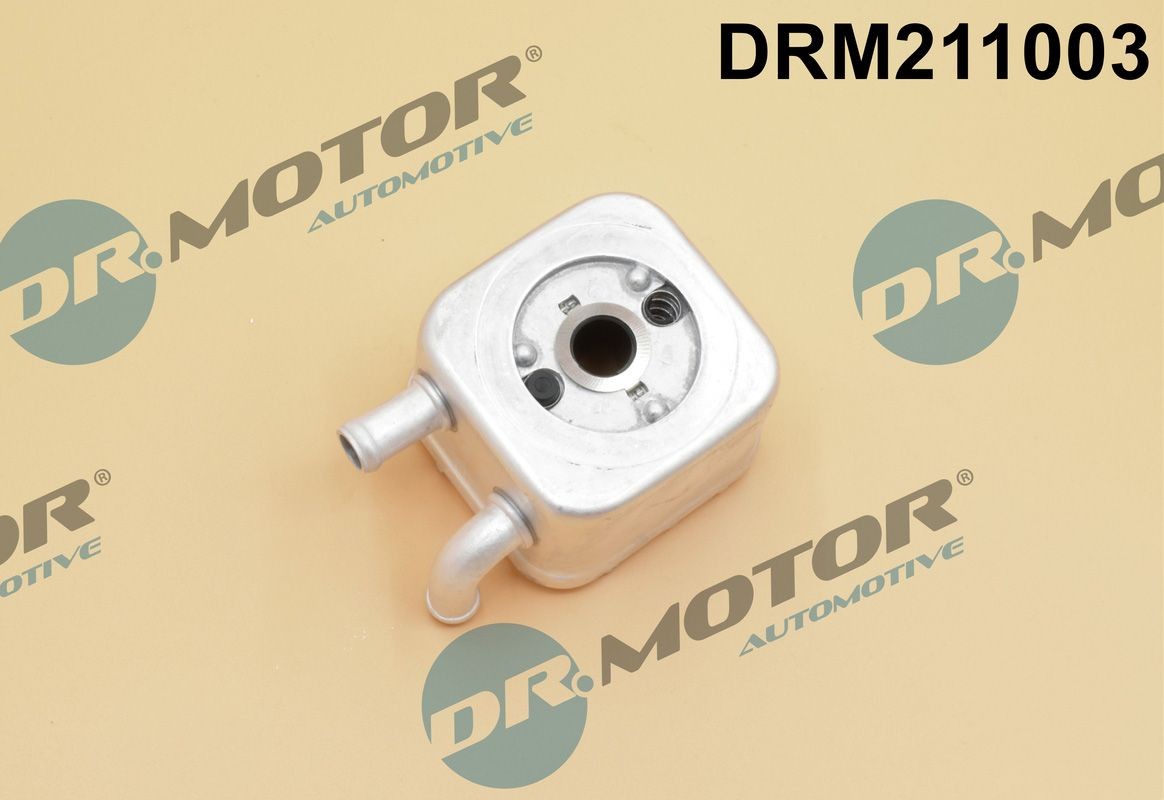 DR.MOTOR AUTOMOTIVE Õliradiaator, mootoriõli DRM211003 DRM211003 DR.MOTOR AUTOMOTIVE Õlijahuti Audi odav