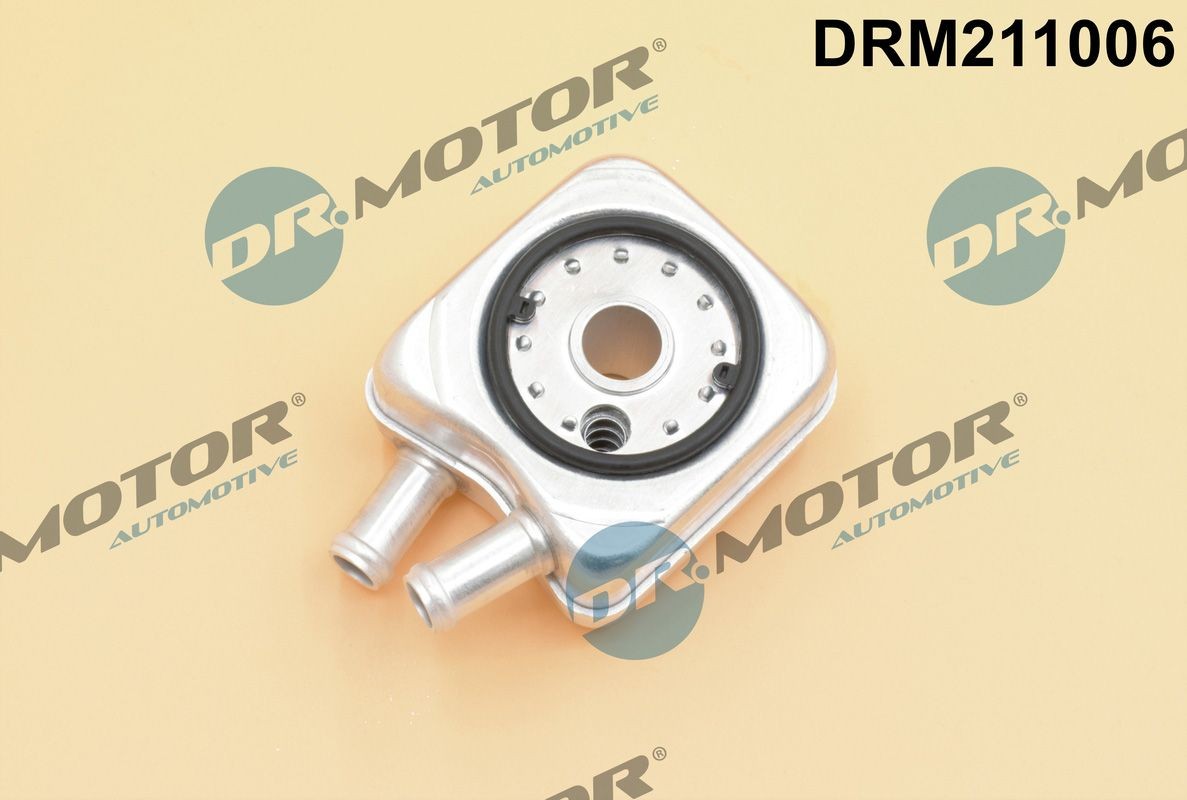 Engine oil cooler DR.MOTOR AUTOMOTIVE DRM211006 DR.MOTOR AUTOMOTIVE DRM211006 Oil cooler Volkswagen SHARAN 2007