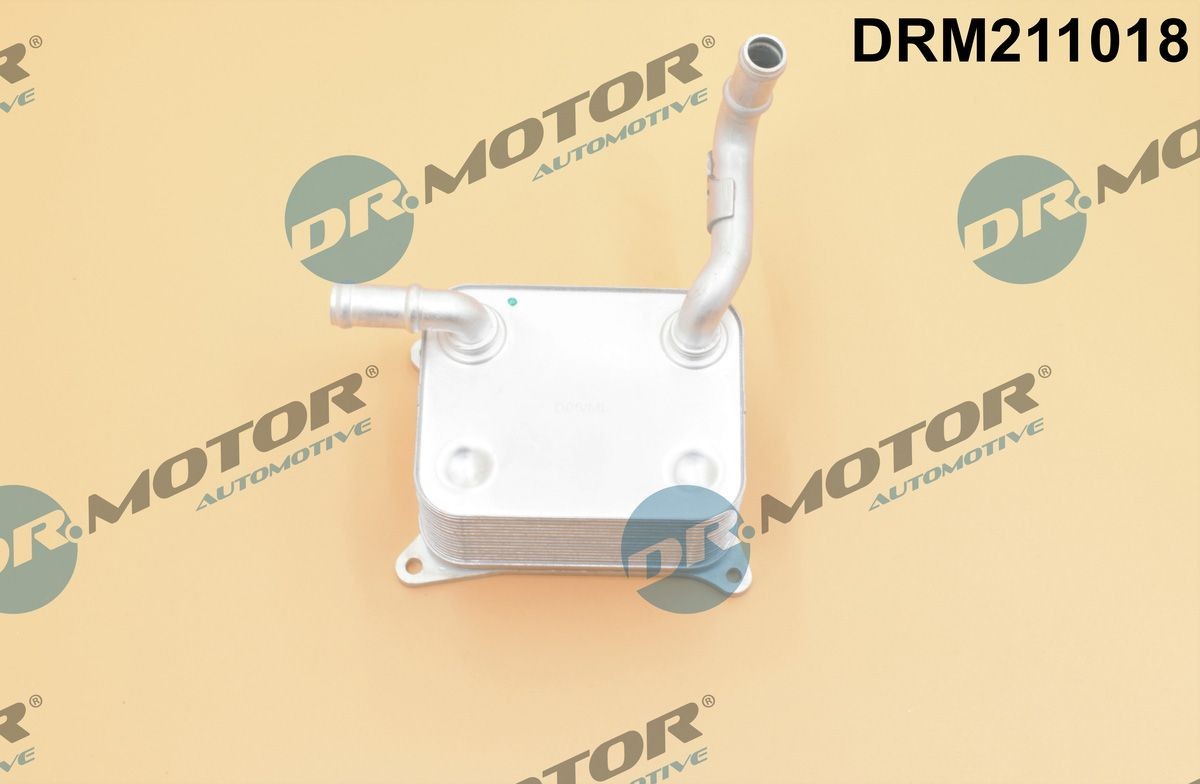 DR.MOTOR AUTOMOTIVE Õliradiaator, mootoriõli DRM211018 DRM211018 DR.MOTOR AUTOMOTIVE Õlijahuti Audi odav