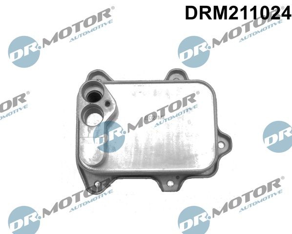 DR.MOTOR AUTOMOTIVE Oliekoeler DRM211024 Audi TT Olie-koeler DR.MOTOR AUTOMOTIVE DRM211024