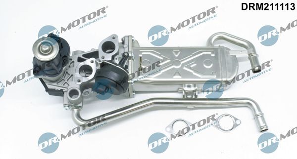 DR.MOTOR AUTOMOTIVE Válvula EGR DRM211113 Válvula egr VW DR.MOTOR AUTOMOTIVE DRM211113
