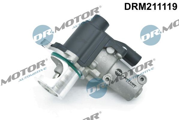 DR.MOTOR AUTOMOTIVE Valvola EGR DRM211119 DRM211119 Valvola EGR DR.MOTOR AUTOMOTIVE AUDI A4 costo
