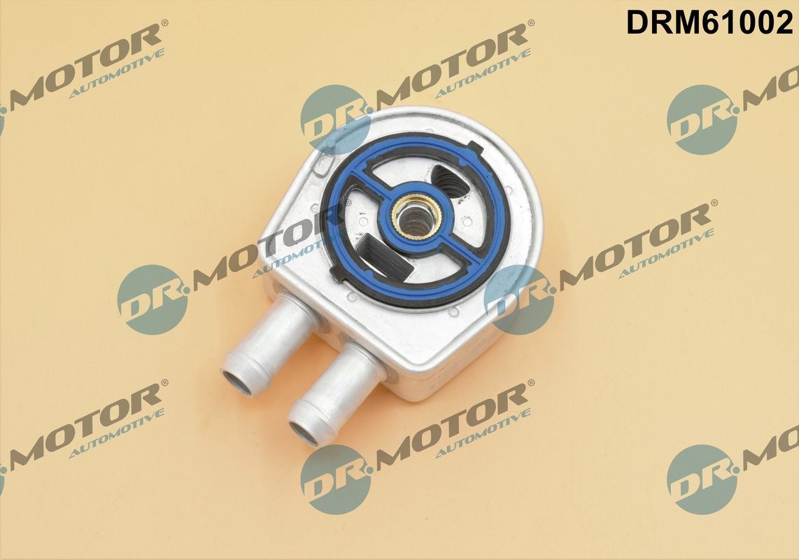 DR.MOTOR AUTOMOTIVE Moottoriöljyn jäähdytin DRM61002 RENAULT Öljynjäähdytin DR.MOTOR AUTOMOTIVE DRM61002
