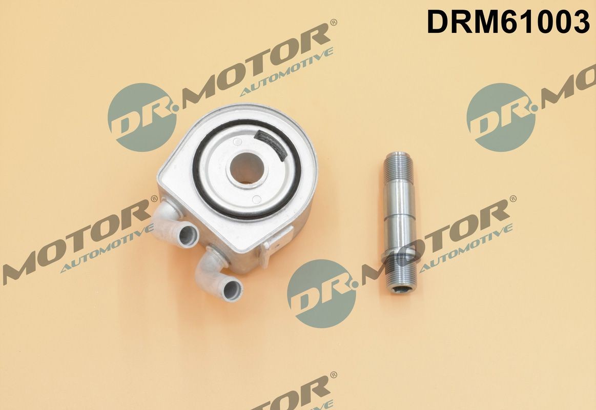 DR.MOTOR AUTOMOTIVE Radiador de óleo, óleo do motor DRM61003 DR.MOTOR AUTOMOTIVE DRM61003 Radiador de óleo Jaguar XJ Sedan preço