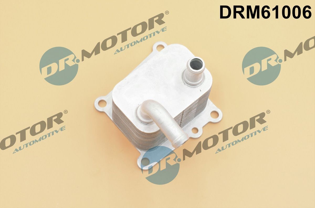 Ψυγείο λαδιού, λάδι κινητήρα DR.MOTOR AUTOMOTIVE DRM61006 DR.MOTOR AUTOMOTIVE DRM61006 Ψυγείο λαδιού FORD TOURNEO CONNECT 2010