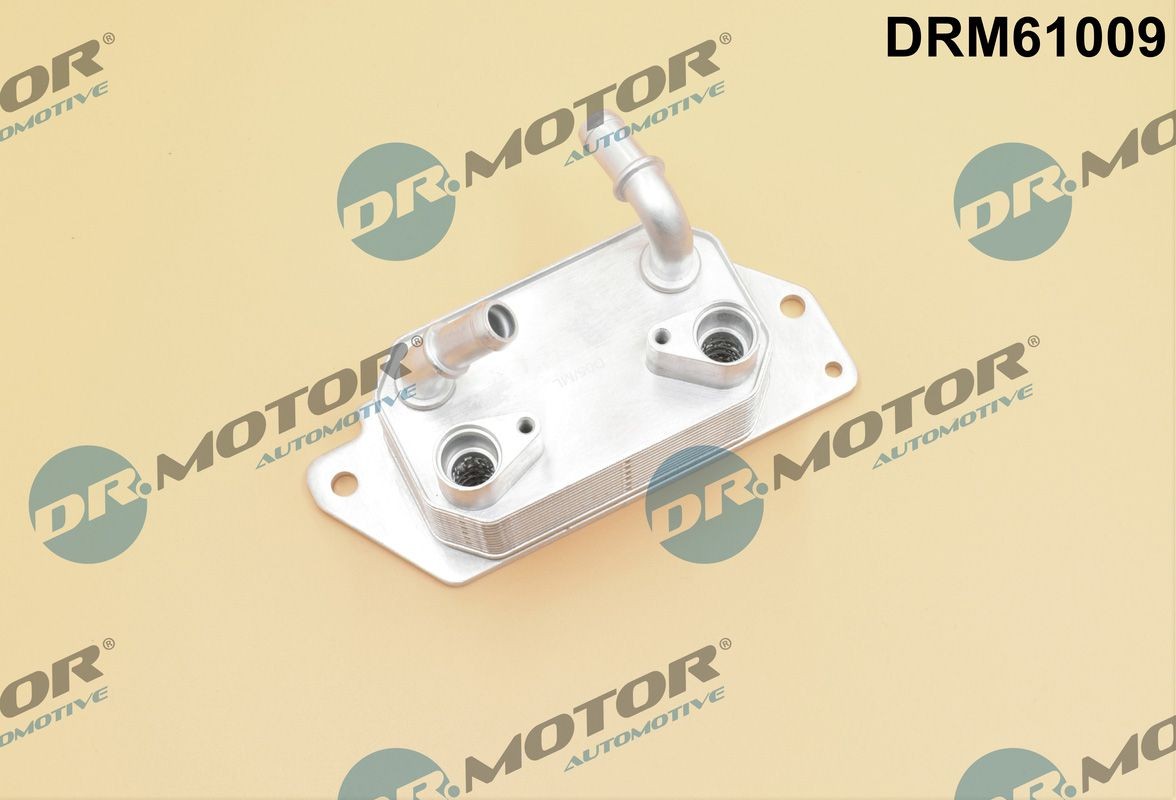 DR.MOTOR AUTOMOTIVE Ölkühler, Automatikgetriebe DRM61009 Ford GGE Getriebeölkühler DRM61009 DR.MOTOR AUTOMOTIVE
