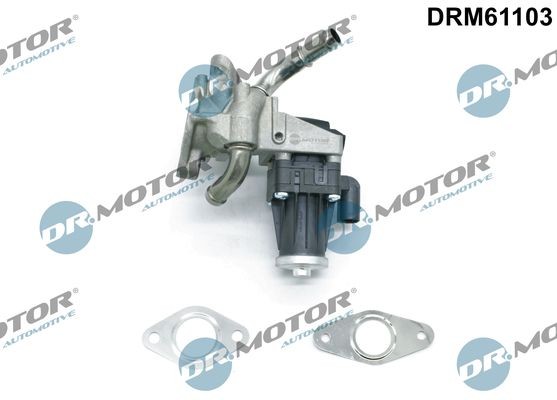 DR.MOTOR AUTOMOTIVE EGR-ventil DRM61103 Byta EGR-ventil Ford Transit Custom Skåpbil kostnad DR.MOTOR AUTOMOTIVE DRM61103