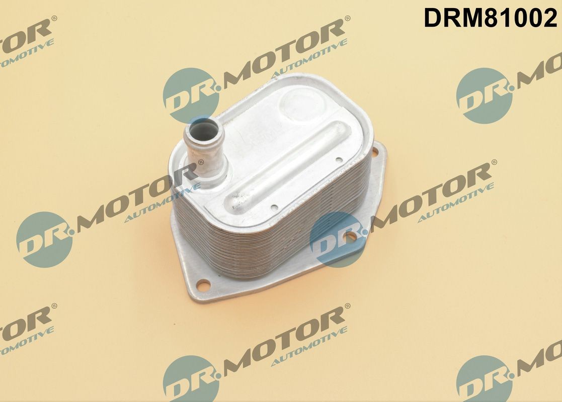 DR.MOTOR AUTOMOTIVE Ψυγείο λαδιού, λάδι κινητήρα DRM81002 DR.MOTOR AUTOMOTIVE DRM81002 Ψυγείο λαδιού Kia Pro Ceed ED φθηνά