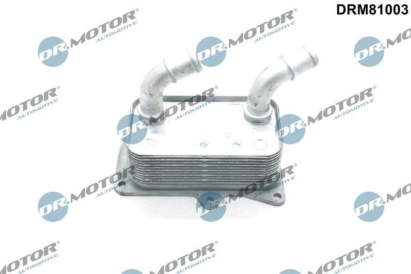 Oljekylare DR.MOTOR AUTOMOTIVE DRM81003 DR.MOTOR AUTOMOTIVE DRM81003 Oljekyl Kia SEDONA 2008