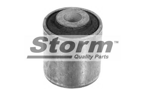 STORM QUALITY PARTS Lagerung, Lenker F2029 F2029 Querlenkerlager VW POLO STORM QUALITY PARTS kaufen