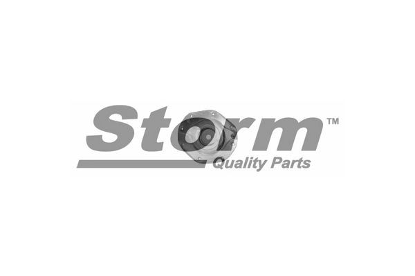 STORM QUALITY PARTS Jousijalan tukilaakeri F2231 F2231 STORM QUALITY PARTS Jousijalan tukilaakeri Ford KA hinta