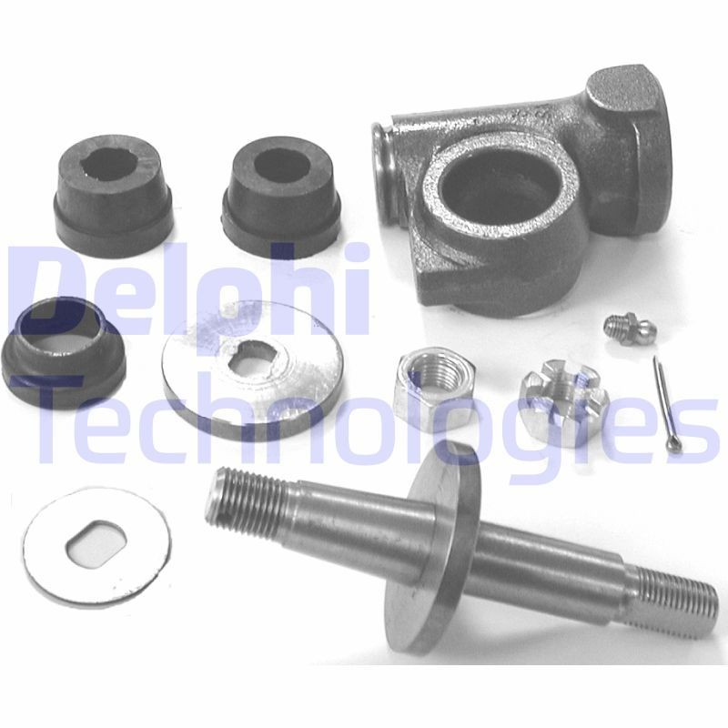 DELPHI Reparatursatz, Achsschenkel TD167W Reparatursatz für Achsschenkelbolzen DELPHI Seat LEON TD167W