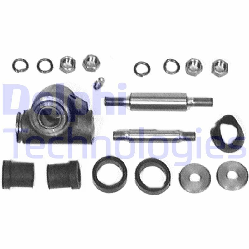 DELPHI Reparatursatz, Achsschenkel TD169W Reparatursatz für Achsschenkel DELPHI Seat LEON TD169W