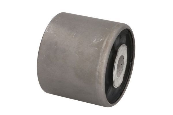 REINHOCH Apoios, diferencial RH20-3008 Diferencial REINHOCH RENAULT RH20-3008