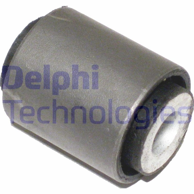 DELPHI Suspension, jambe d'essieu TD450W Silent bloc de pont DELPHI VIANO TD450W pas cher