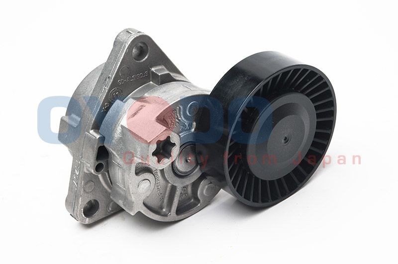 Oyodo Braccio tenditore, Cinghia Poly-V 20R0319-OYO 20R0319-OYO Tenditore cinghia servizi Oyodo Volkswagen CADDY costo