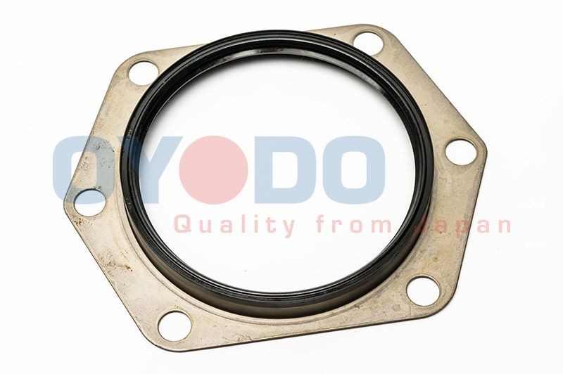 Oyodo Anello tenuta, Differenziale 30P1008-OYO 30P1008-OYO Anello tenuta, differenziale NISSAN GT-R Oyodo costo