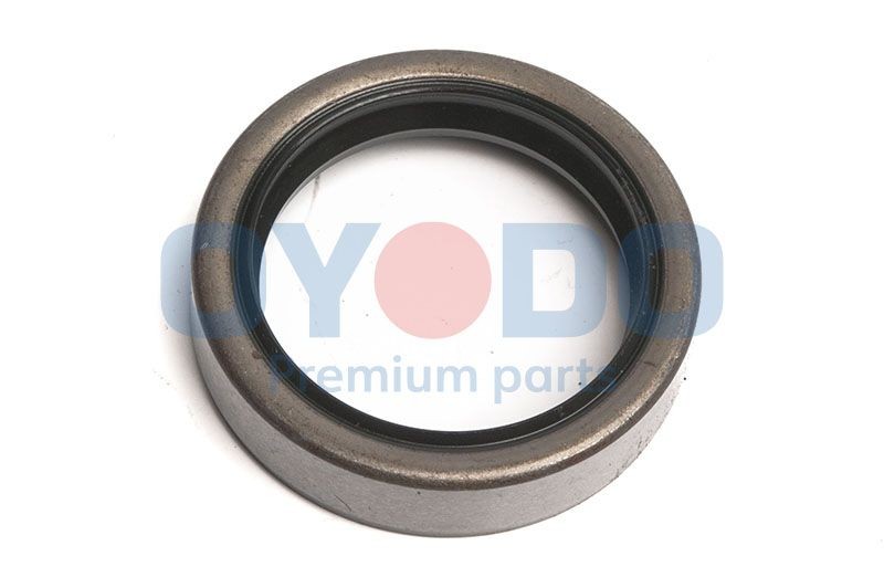 Oyodo Wellendichtring, Differential 30P1009-OYO Wellendichtring, Differential Oyodo JOURNEY 30P1009-OYO günstig