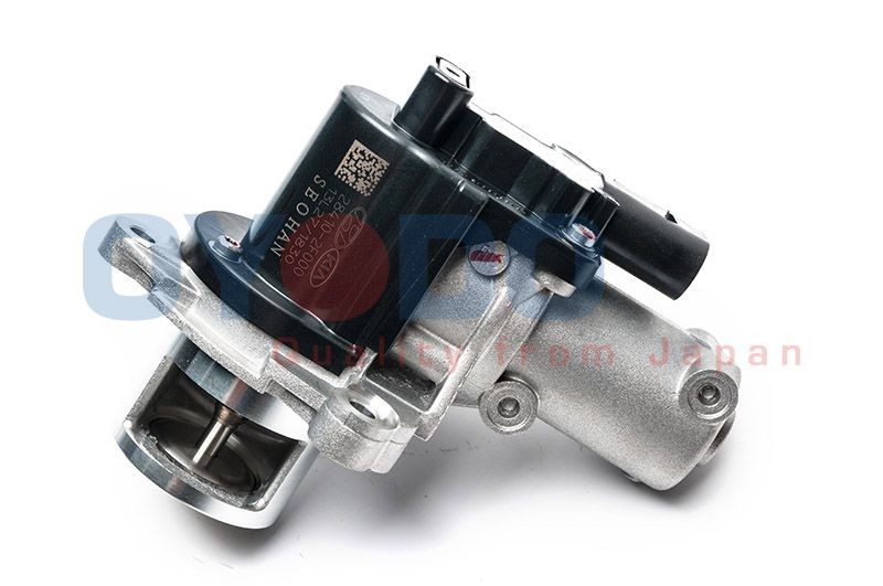 Oyodo EGR klep 75E0316-OYO 75E0316-OYO EGR klep Oyodo HYUNDAI ix20