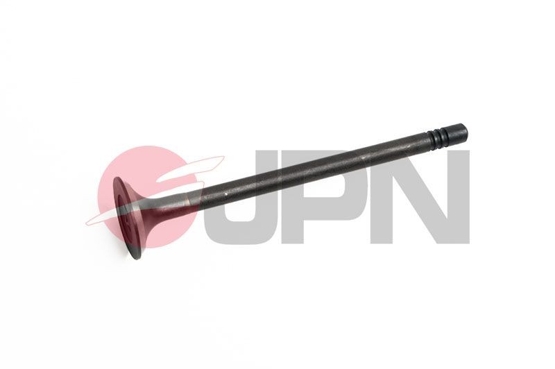 Valvola di scarico JPN 80M0317-JPN JPN 80M0317-JPN costo Valvola di scarico Hyundai GETZ 2010